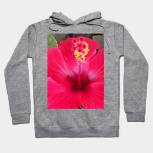 Hibiscus flower of the summer Hoodie
